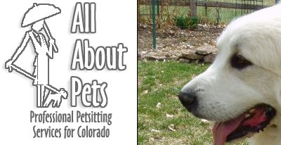 Websites for Dog Lovers